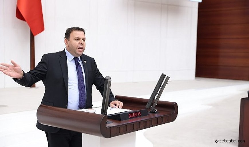 Her 10 Ayçiçeği Tohumunun 6’sı Romanya ve Bulgaristan’dan Geliyor