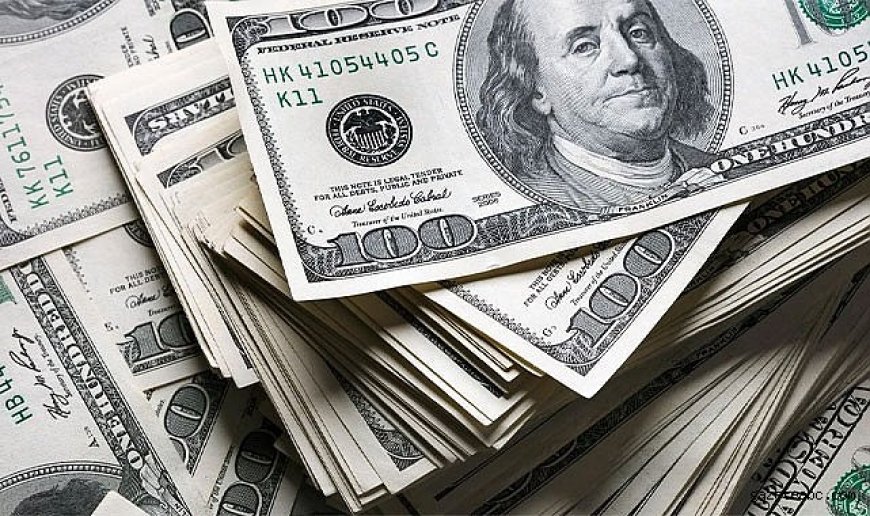 Dolarda Türkiye’de Tarihi Zirve