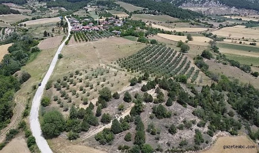Karacabey’de Milyonluk Tarla İhalesi
