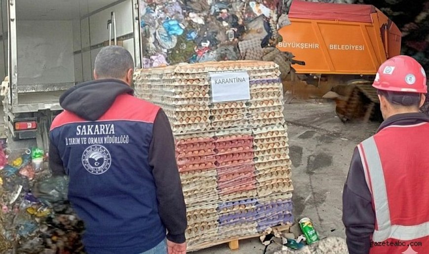 Organik Etiketli Sahte Yumurtalara Baskın