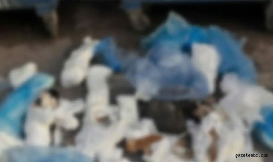 İzmir’de Şok Eden Görüntü