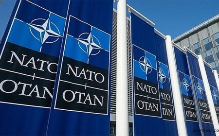 NATO Zirvesi Öncesi DAEŞ Operasyonu