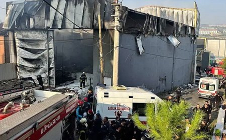 Dilovası Belediyesi Başkan Yardımcısı Gözaltında