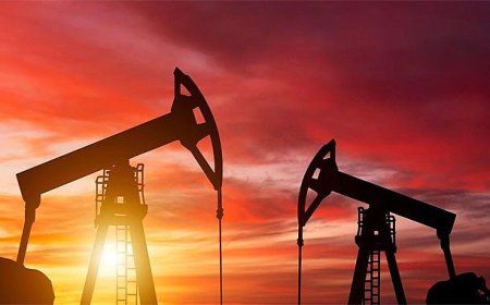 Enerji Bakanlığı’ndan 3 Bölgede Petrol Hamlesi