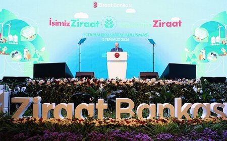 Tarım ve Hayvancılıkta Yeni Destek Paketleri Açıklandı