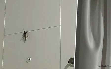 Bakanlıktan "çekirge istilası" iddialarına yanıt