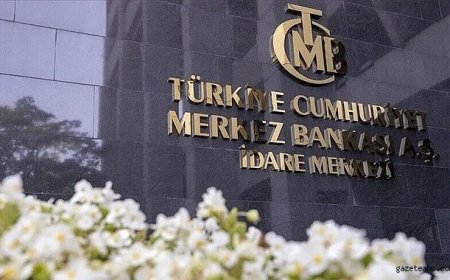 TCMB’den Vezne24 Kararı