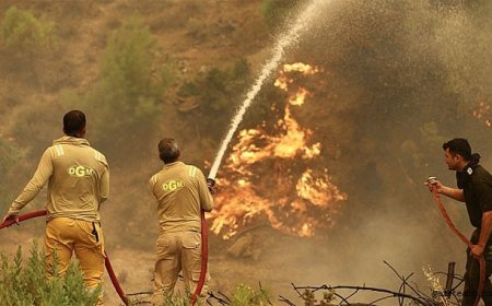 Muğla'da Orman Yangını!