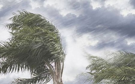 Meteorolojiden Kuvvetli Rüzgar Uyarısı