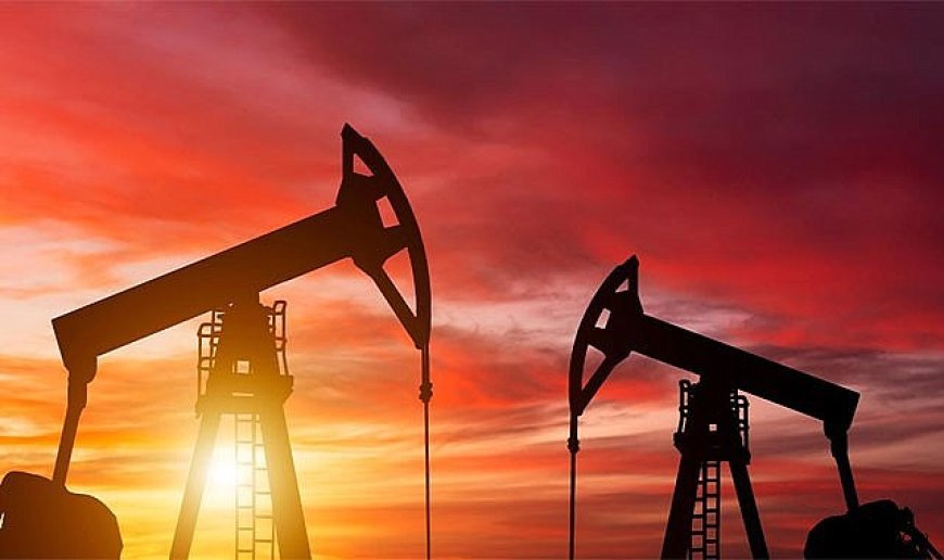 Enerji Bakanlığı’ndan 3 Bölgede Petrol Hamlesi