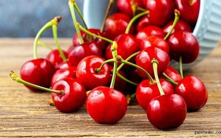 İhracatta Umut Veren Hasat