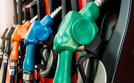 Benzine Zam Geliyor