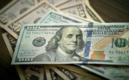 Dolar Enflasyon Verisi Öncesi Yükseldi
