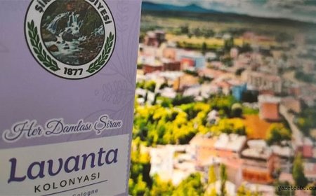 Şiran’da 120 Dönüm Lavanta Üretimi