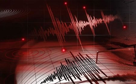 İstanbul Açıklarında Dikkat Çeken Deprem Hareketliliği
