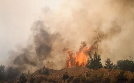 Sındırgı’da Yangın Ormana Sıçradı