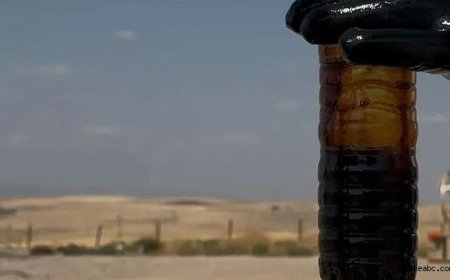 Milli Enerji Hamlesi’nde Yeni Petrol