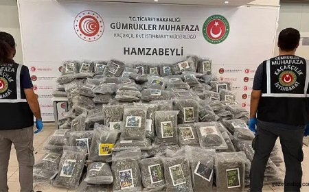 Sınır Kapısında Esrar Baskını