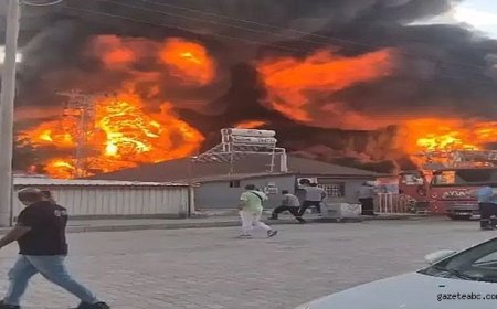 Elazığ'da fabrika yangını