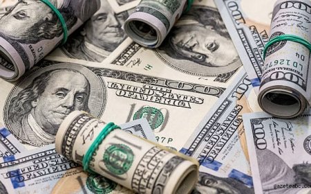 Doların Kazançlarında Warsh Etkisi