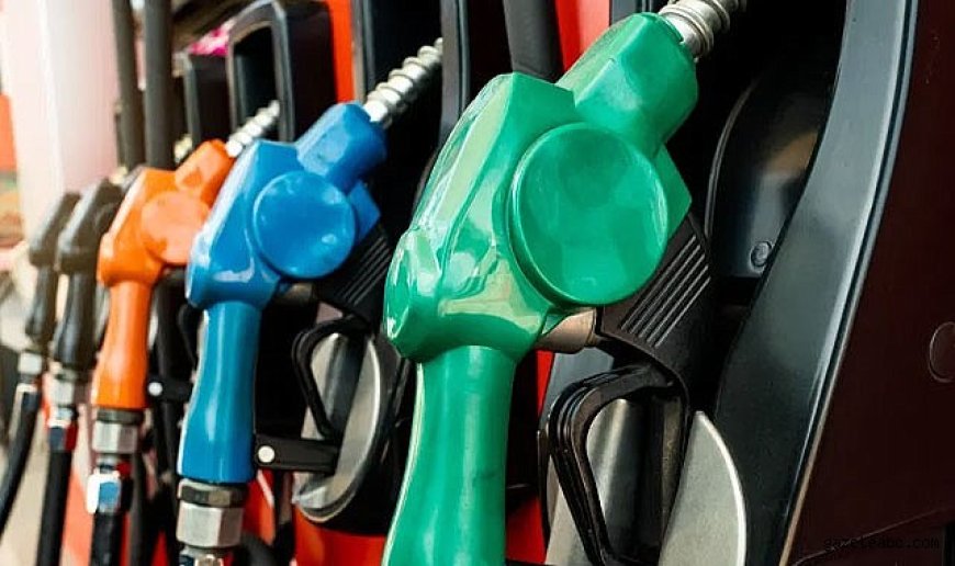 Benzine Zam Geliyor
