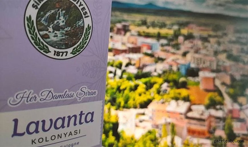 Şiran’da 120 Dönüm Lavanta Üretimi