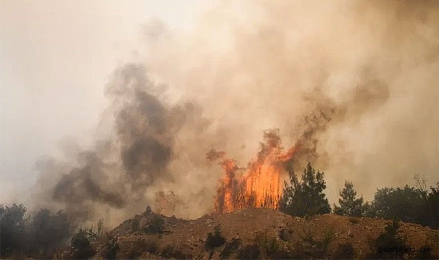 Sındırgı’da Yangın Ormana Sıçradı