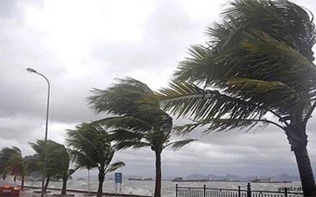 Meteoroloji’den Sağanak ve Rüzgar Uyarısı