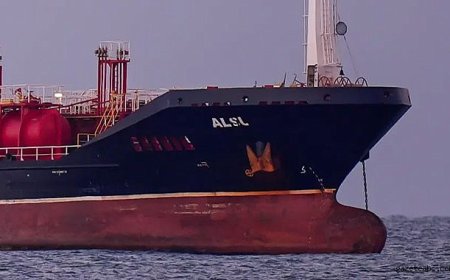 Alsu Adlı Gemide 9 Gözaltı