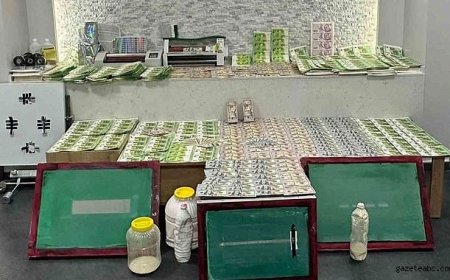 Evden balya balya para çıktı