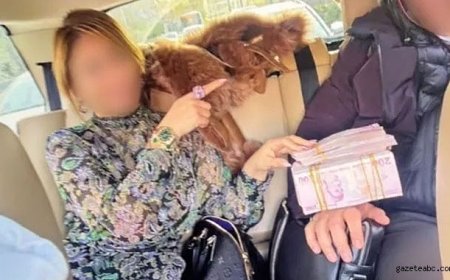 Yargıya Müdahale Soruşturması