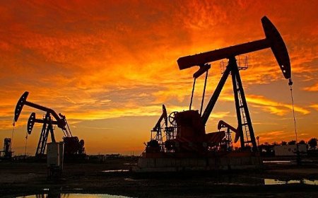 Petrol Piyasasında İbre Değişti