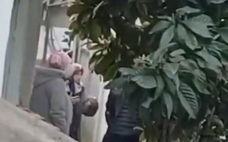 Yaşlı Kadınlar Zehir Kuryesi Çıktı!