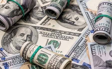 Dolar Düşüşünü Sürdürüyor